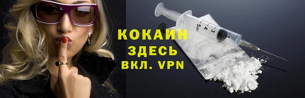 крисы Бронницы