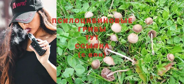 экстази Бородино